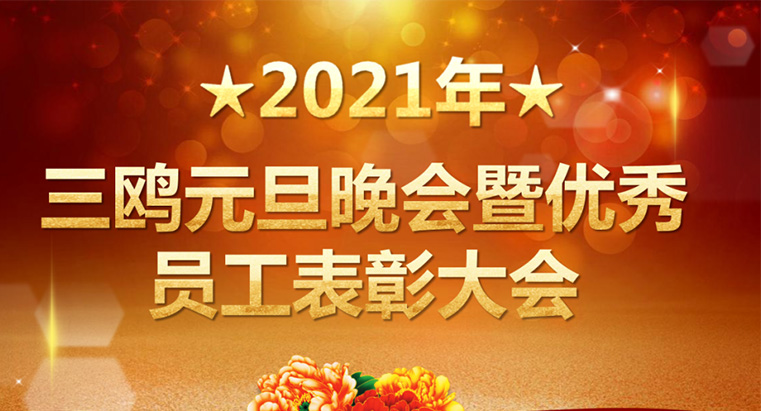 2021年HJC黄金城元旦晚會暨優秀表彰大會