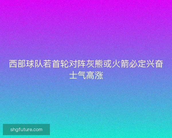 西部球队若首轮对阵灰熊或火箭必定兴奋士气高涨